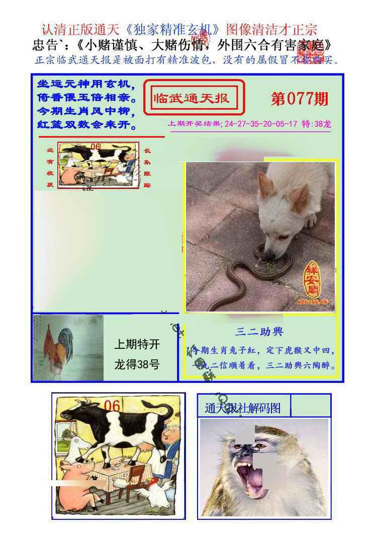 六合彩077期临武通天报