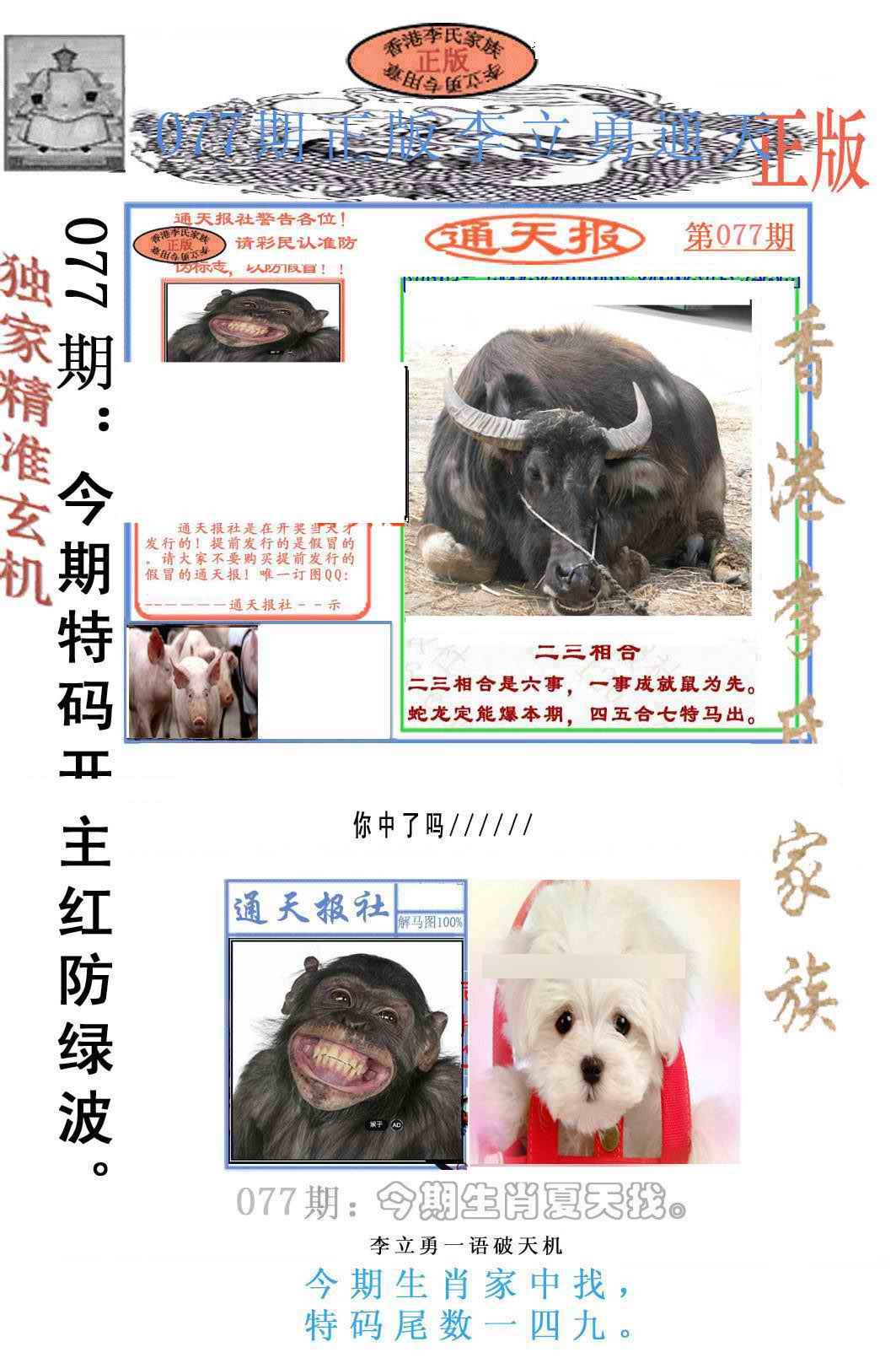 六合彩077期李力勇通天报