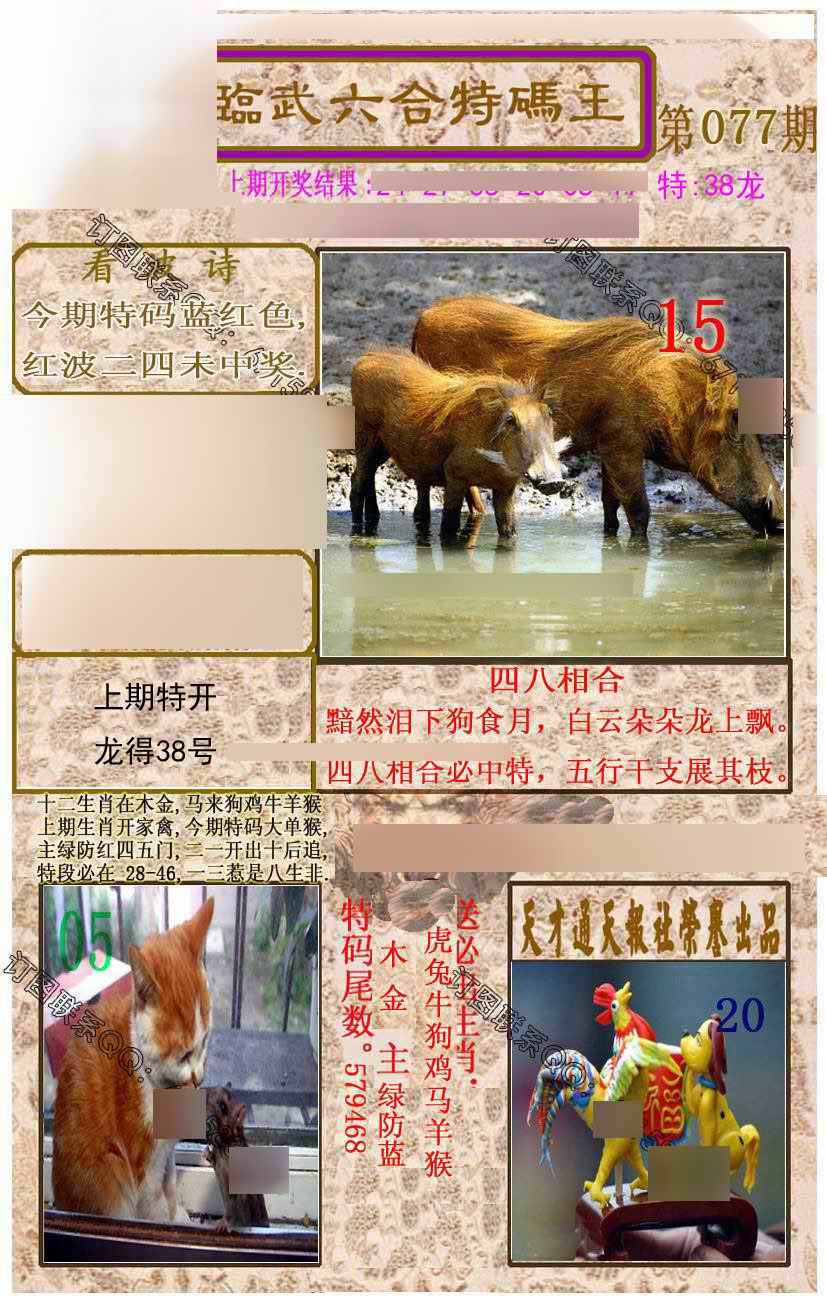 六合彩077期临武六合特码王