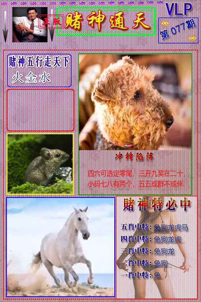六合彩077期赌神通天报