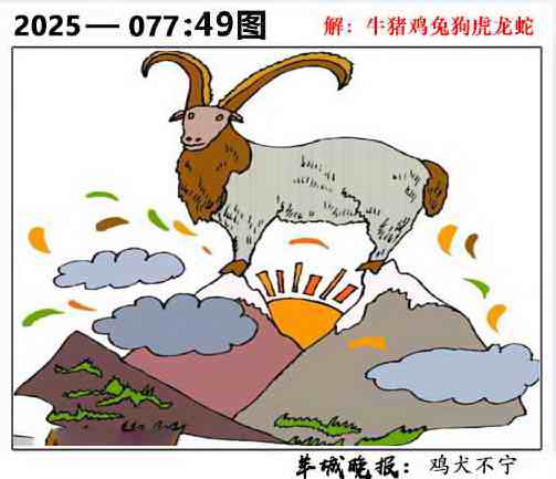 六合彩077期49图