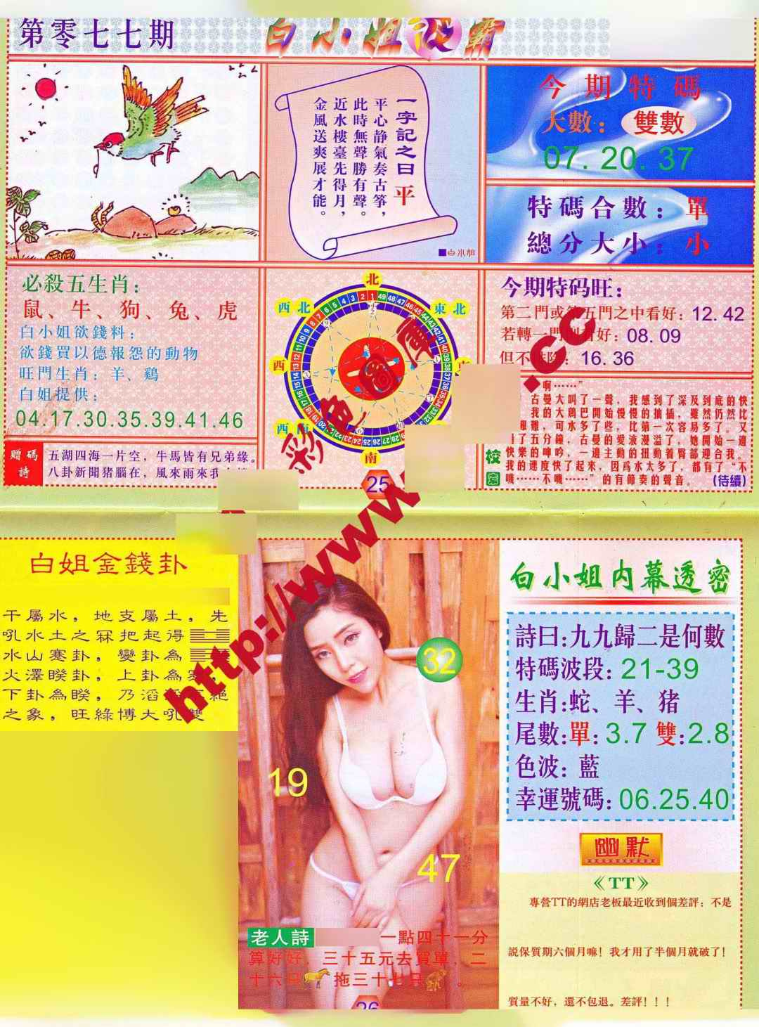 六合彩077期白小姐波霸