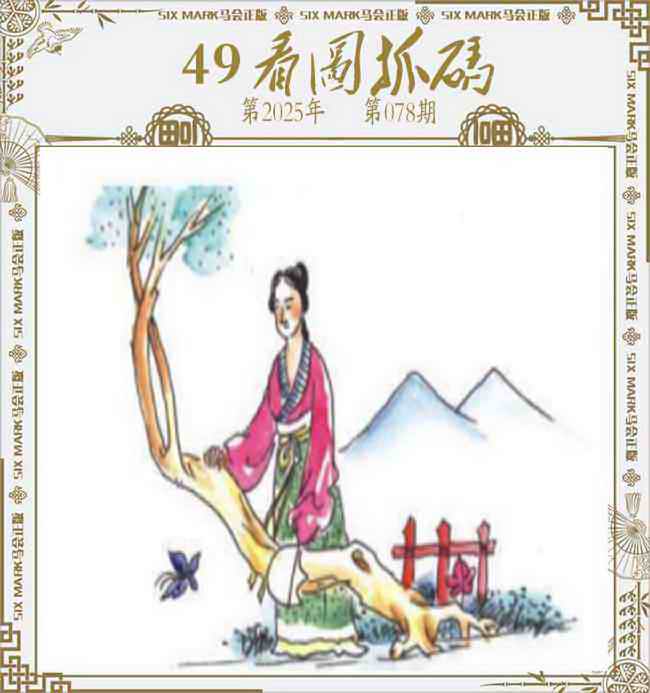 六合彩078期49看图抓码