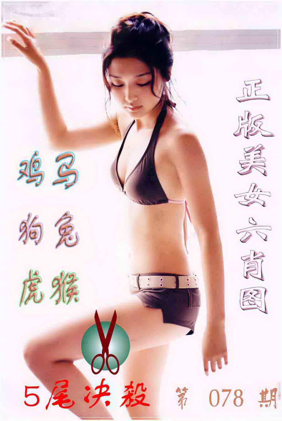 六合彩078期美女六肖图B