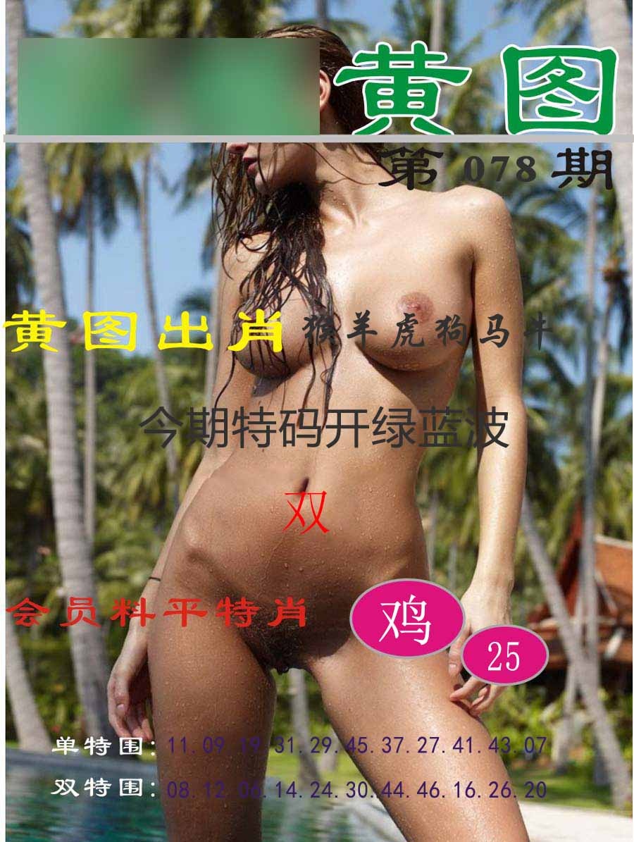 六合彩078期黄图
