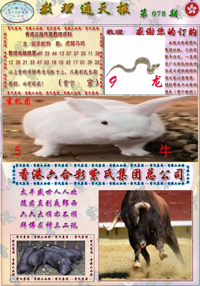 六合彩078期数通报