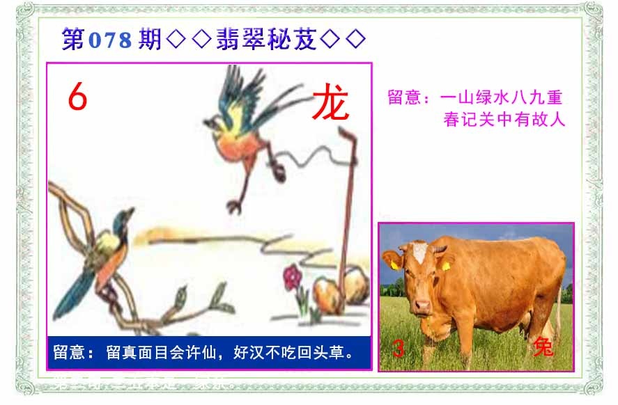 六合彩078期翡翠报