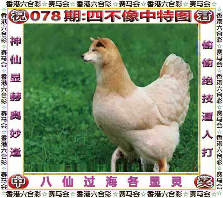 六合彩078期四不像中特图