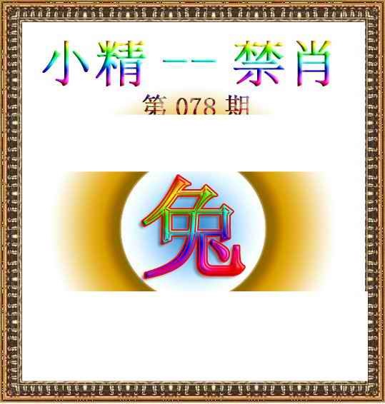 六合彩078期小精禁肖