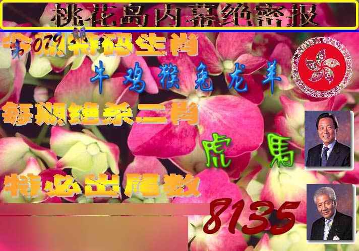 六合彩079期桃花岛内幕报