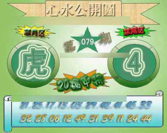 六合彩079期心水公开图