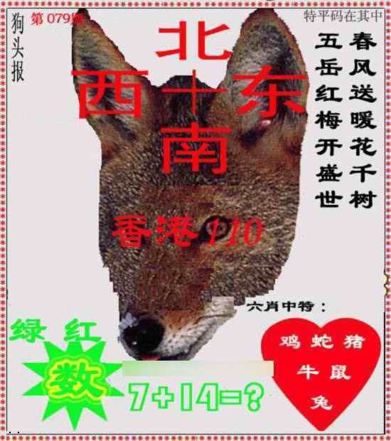 六合彩079期狗头报