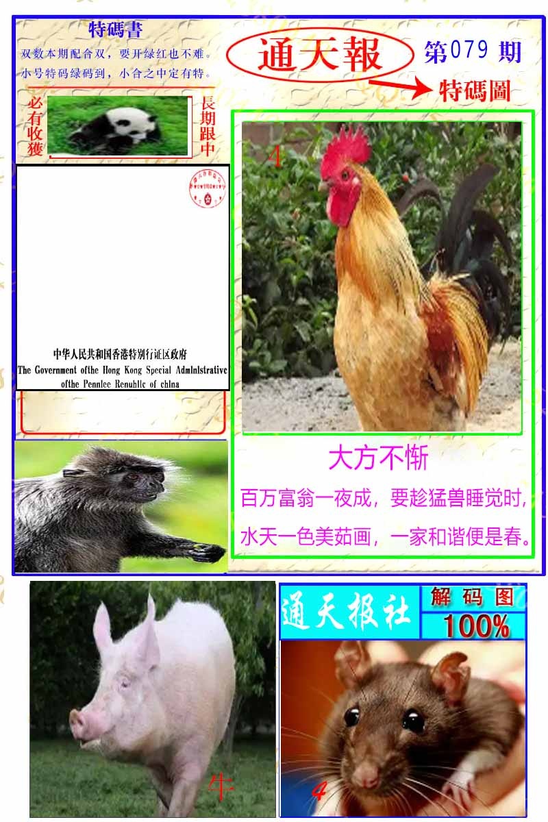 六合彩079期通天特解图