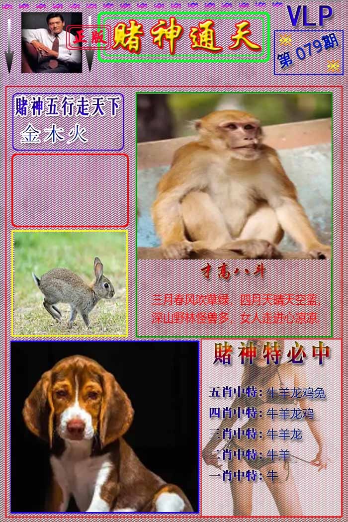 六合彩079期赌神通天报