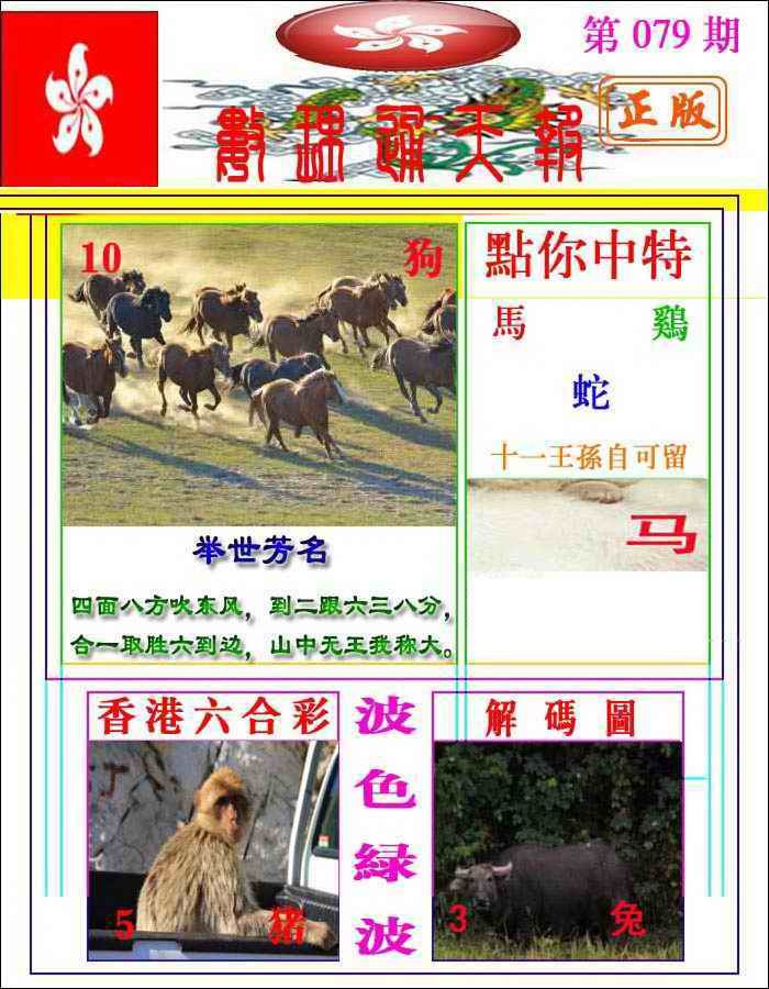 六合彩079期数理通天