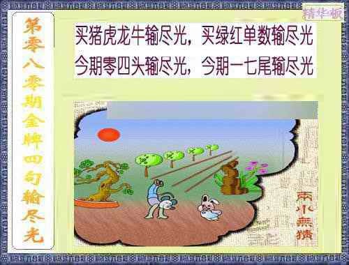 六合彩080期金牌四句输尽光