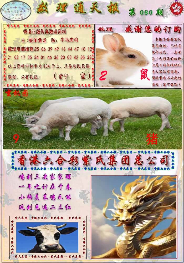 六合彩080期数通报