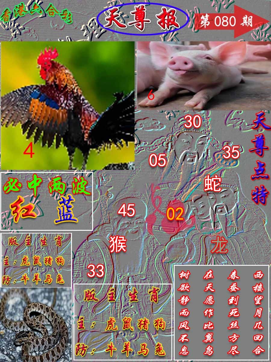六合彩080期天尊报