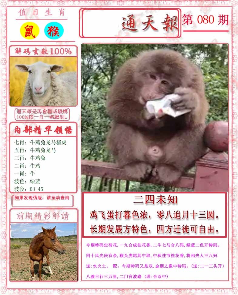 六合彩080期马经通天报