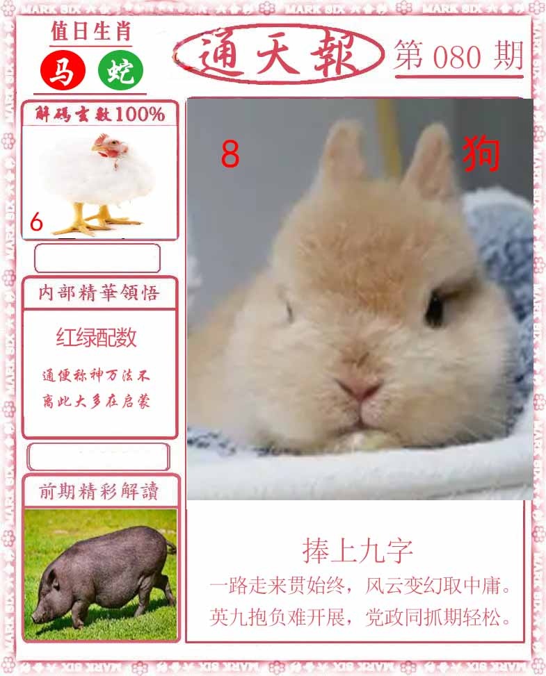 六合彩080期正版通天报