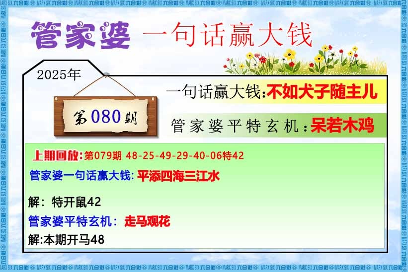 六合彩080期管家婆一句话赢大钱