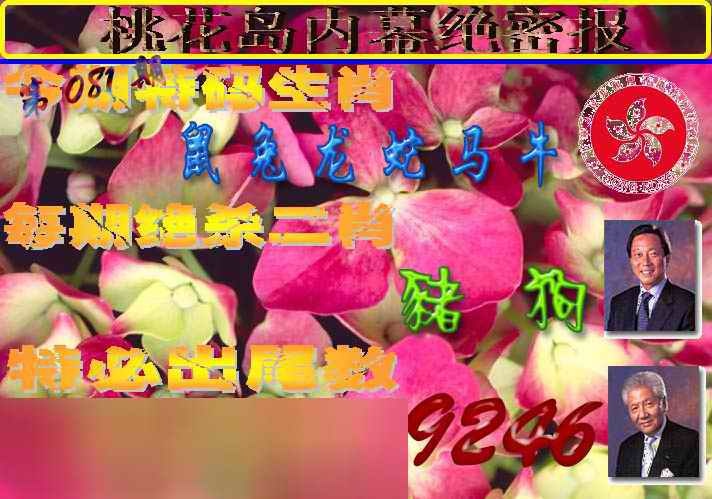 六合彩081期桃花岛内幕报