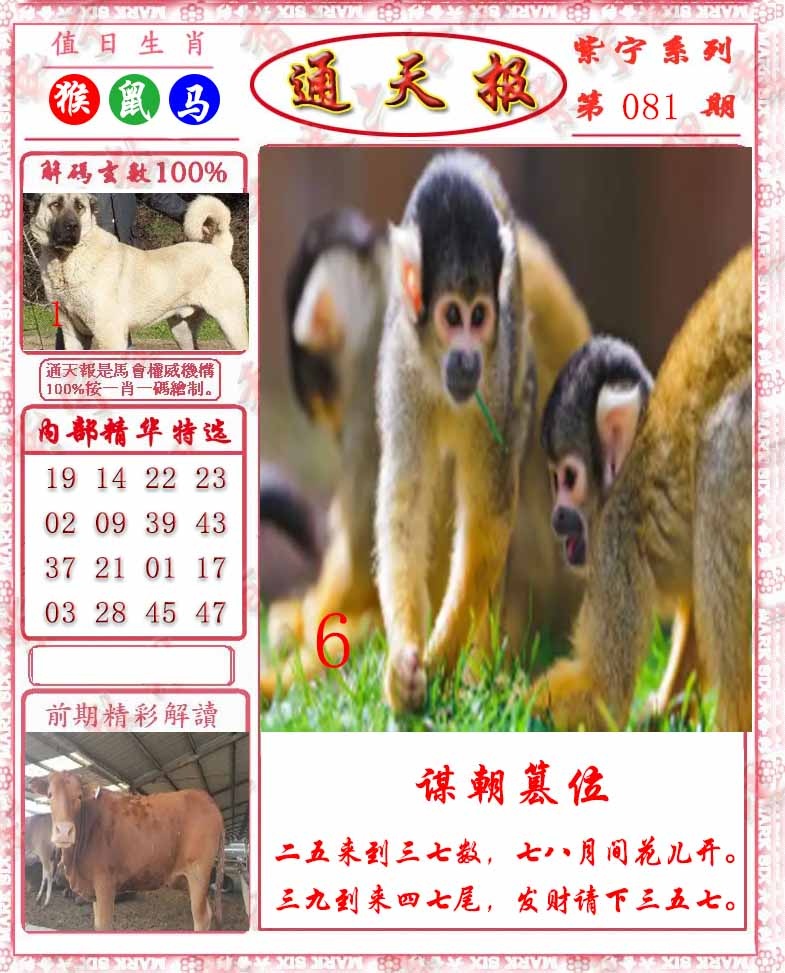 六合彩081期救通报