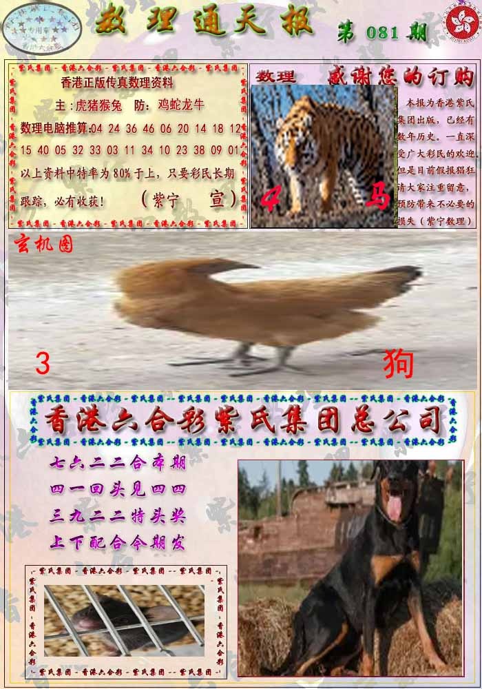 六合彩081期数通报