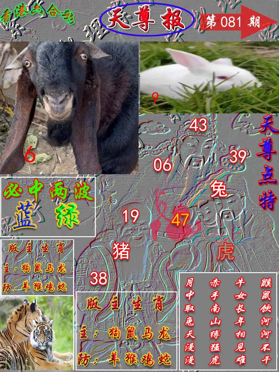 六合彩081期天尊报