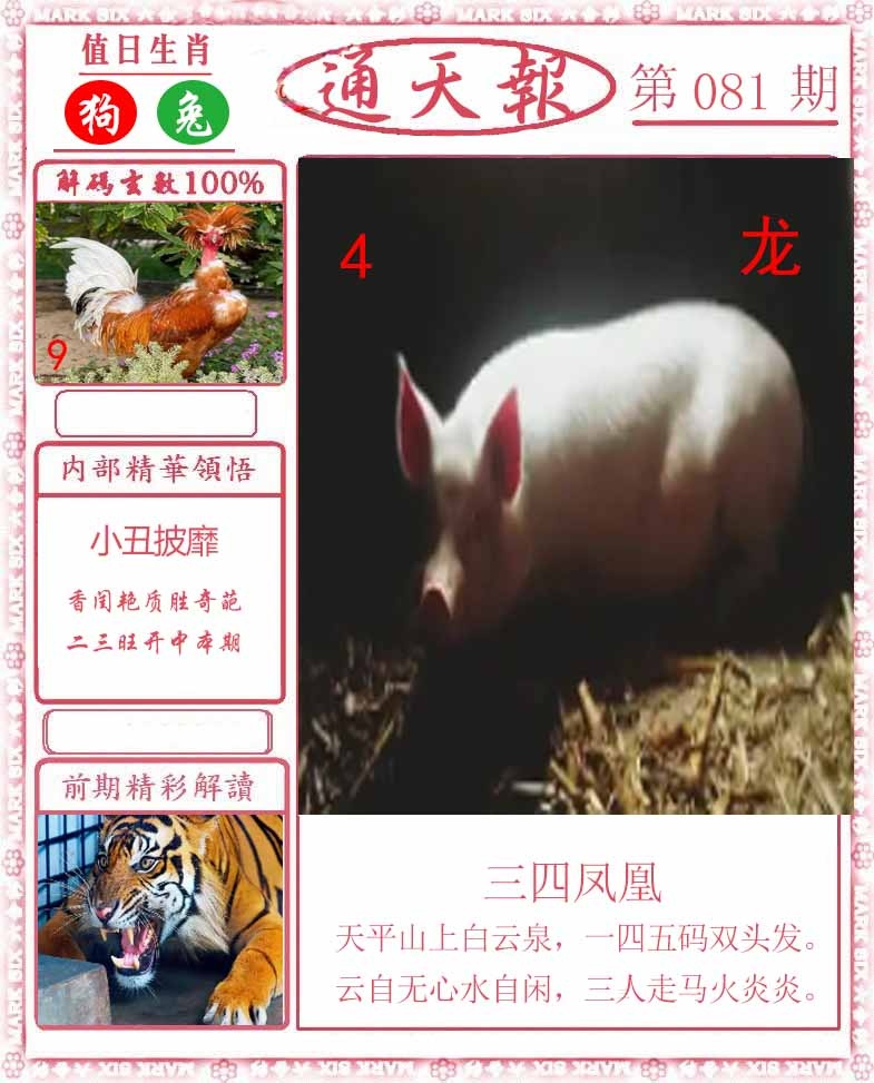 六合彩081期正版通天报