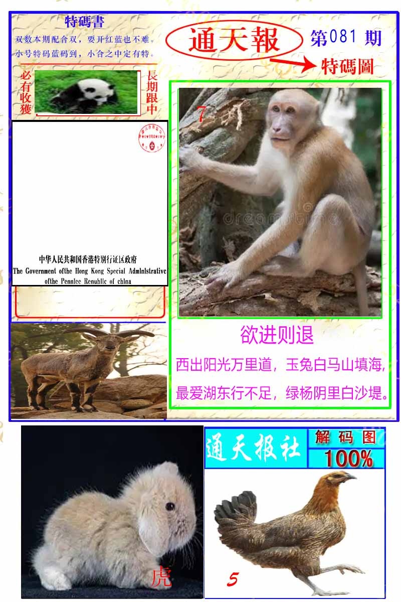 六合彩081期通天特解图