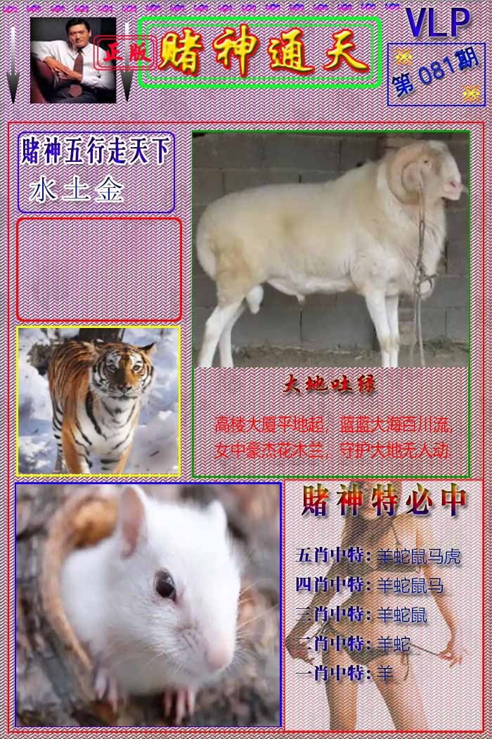六合彩081期赌神通天报