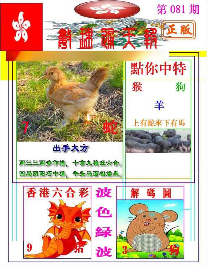 六合彩081期数理通天