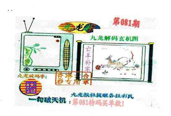 六合彩081期九龙报