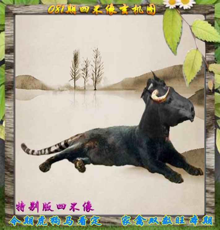 六合彩081期四不像特别版