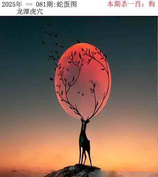 六合彩081期正版蛇蛋图