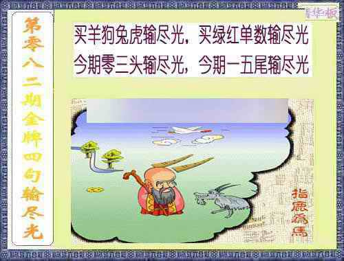 六合彩082期金牌四句输尽光