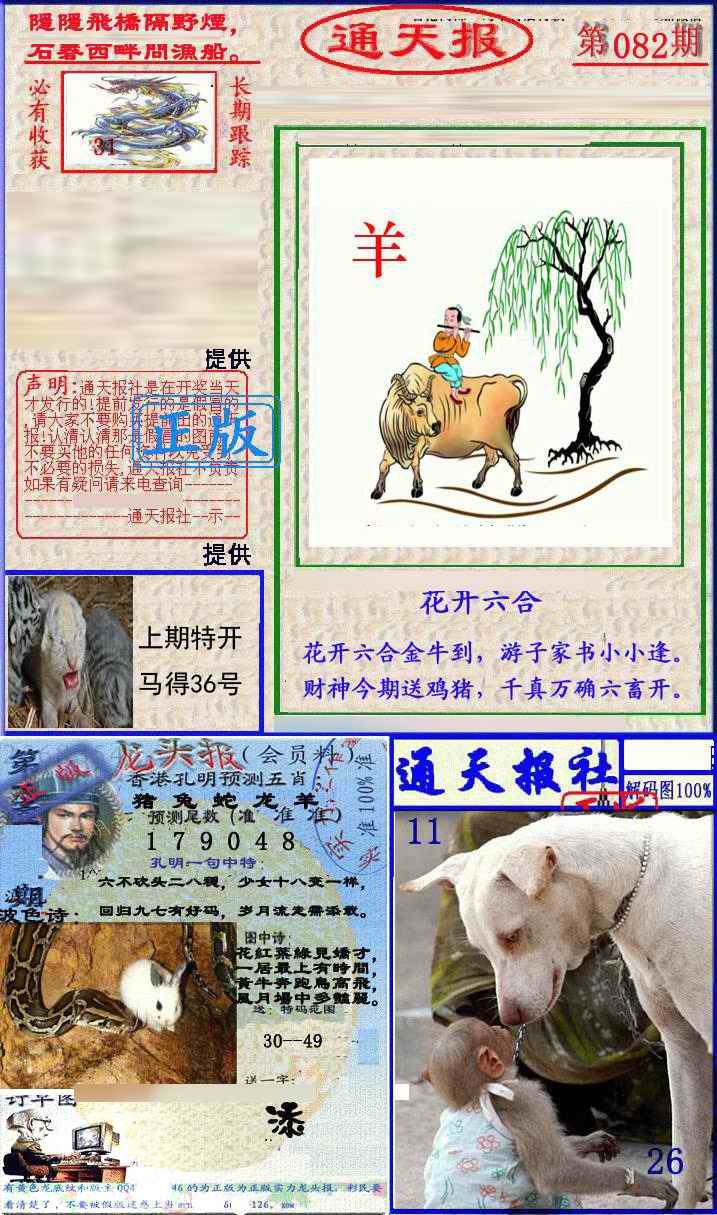 六合彩082期实力通天报