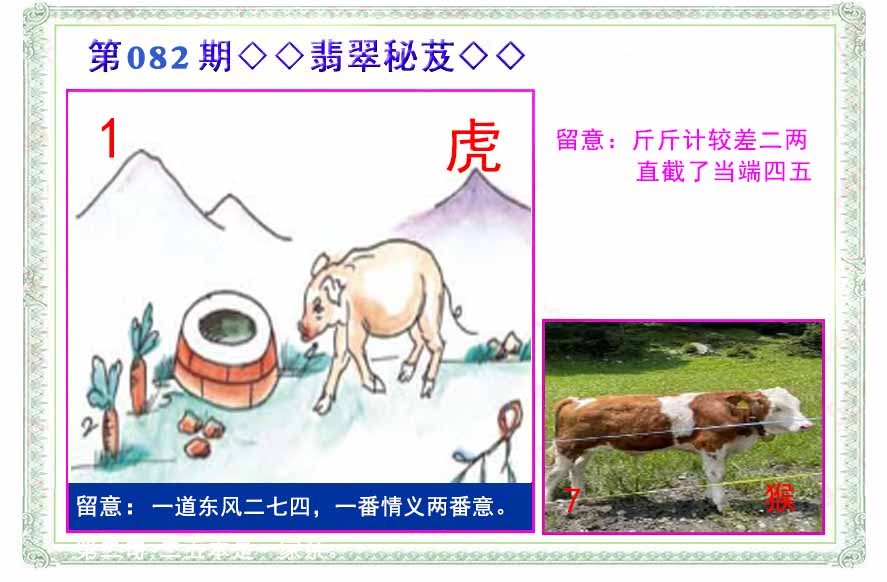六合彩082期翡翠报