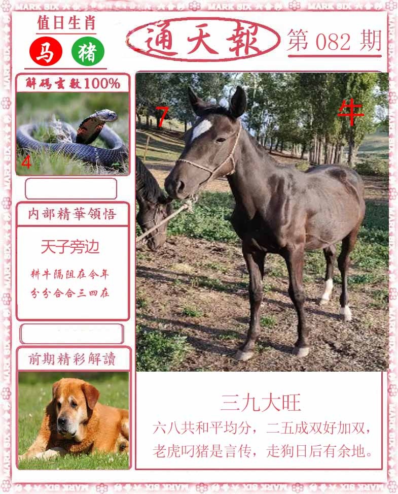 六合彩082期正版通天报