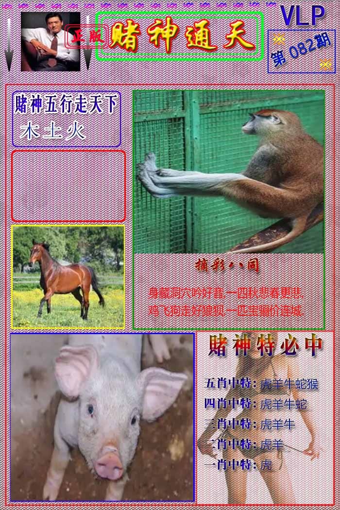 六合彩082期赌神通天报