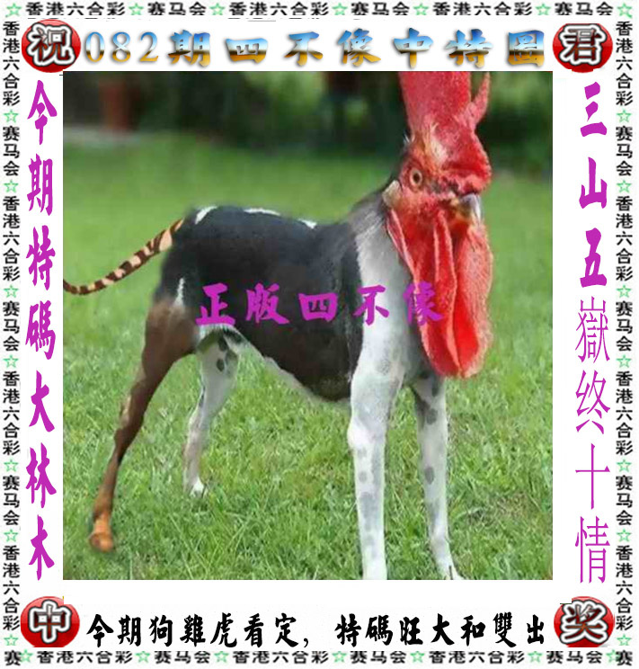 六合彩082期正版四不像