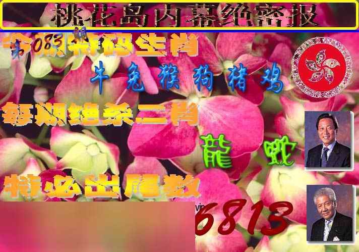 六合彩083期桃花岛内幕报