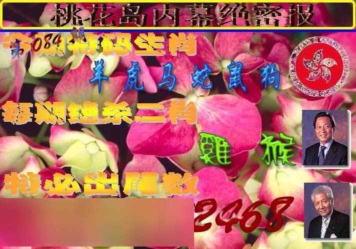 六合彩084期桃花岛内幕报