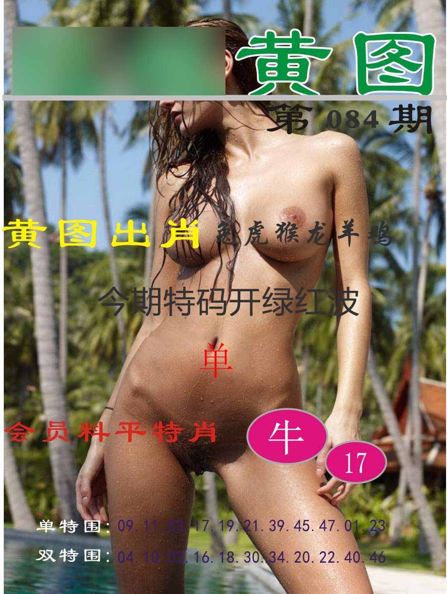 六合彩084期黄图