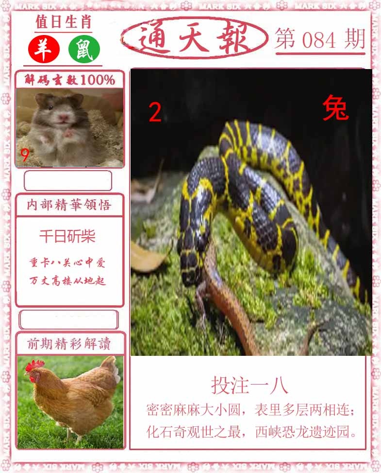 六合彩084期正版通天报
