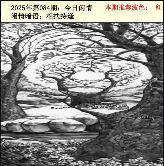 六合彩084期今日闲情2