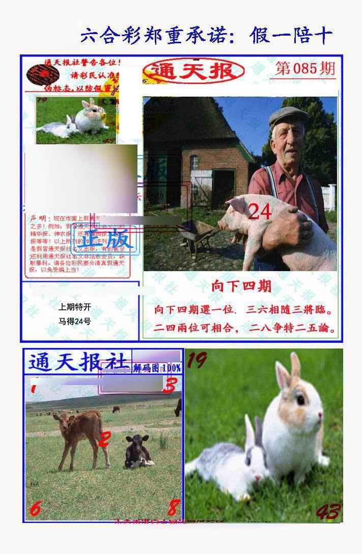 六合彩085期假一陪十通天报