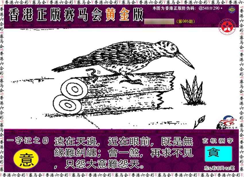 六合彩085期赛马会黄金版