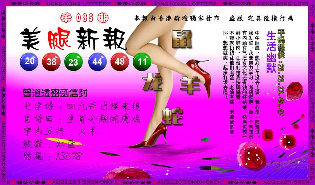 六合彩085期美腿新报